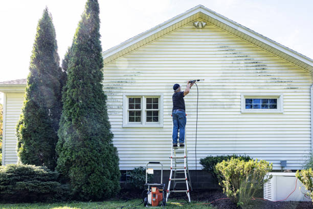 Reliable Grandwood Park, IL Pressure Washing Solutions